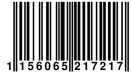 1 156065 217217