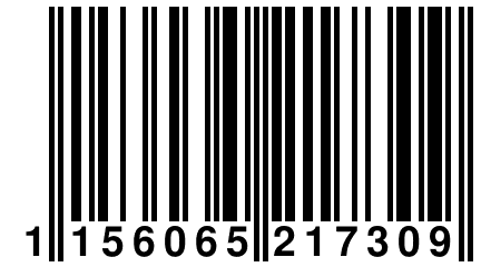 1 156065 217309