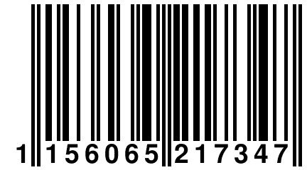 1 156065 217347