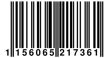 1 156065 217361