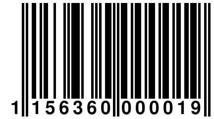 1 156360 000019