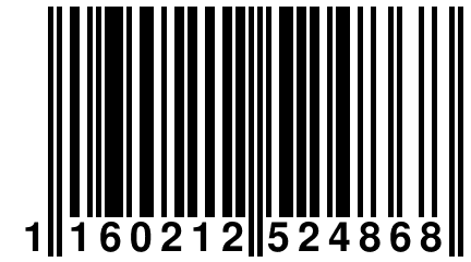 1 160212 524868