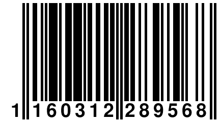 1 160312 289568