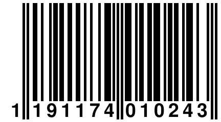 1 191174 010243