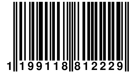 1 199118 812229