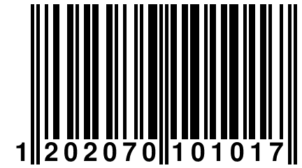 1 202070 101017