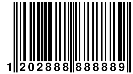 1 202888 888889