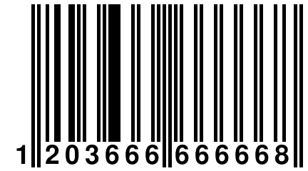 1 203666 666668