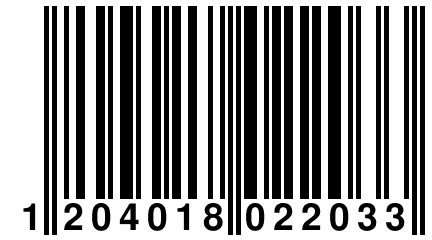 1 204018 022033