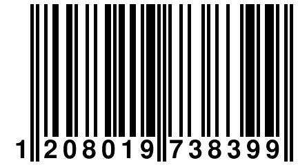 1 208019 738399