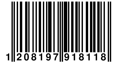 1 208197 918118