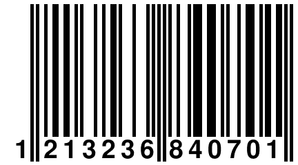 1 213236 840701