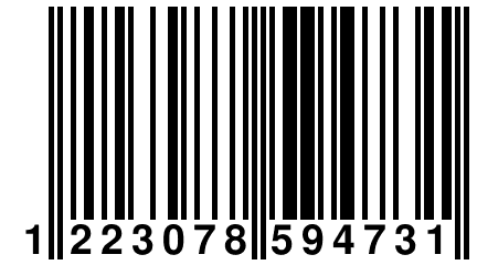 1 223078 594731