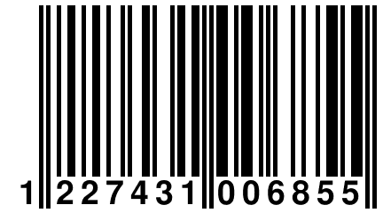 1 227431 006855