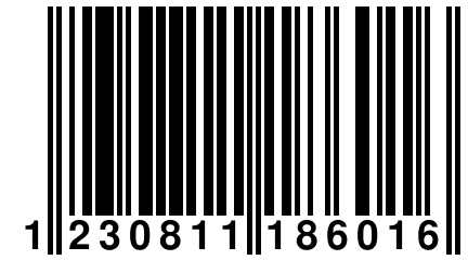 1 230811 186016