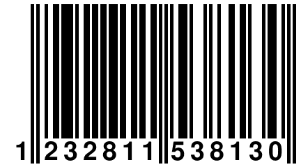 1 232811 538130