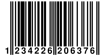 1 234226 206376