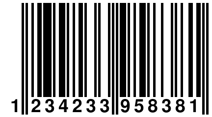 1 234233 958381