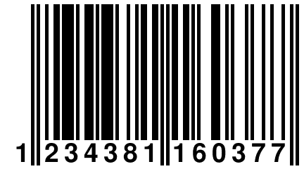 1 234381 160377