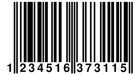 1 234516 373115