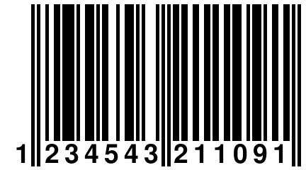 1 234543 211091