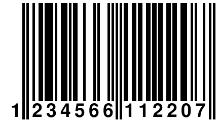 1 234566 112207