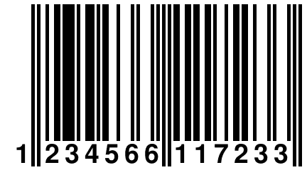 1 234566 117233