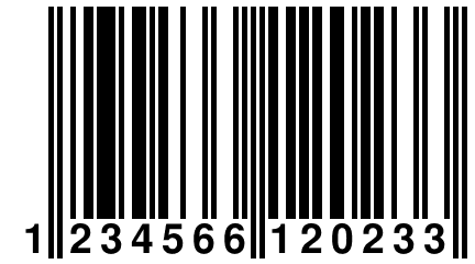 1 234566 120233