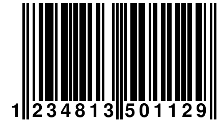 1 234813 501129