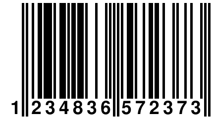 1 234836 572373