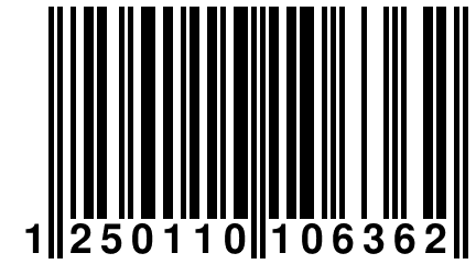 1 250110 106362