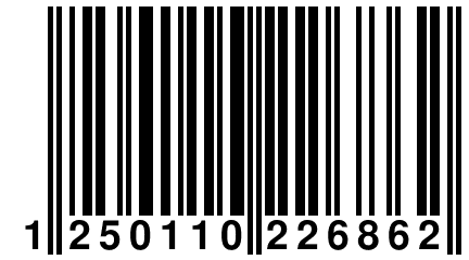 1 250110 226862