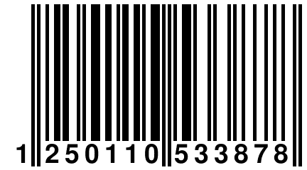 1 250110 533878