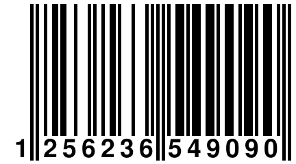 1 256236 549090