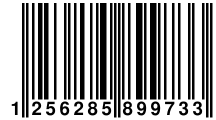 1 256285 899733