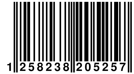 1 258238 205257