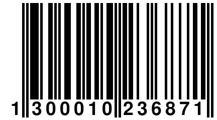 1 300010 236871