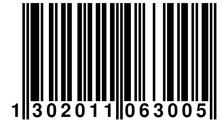 1 302011 063005