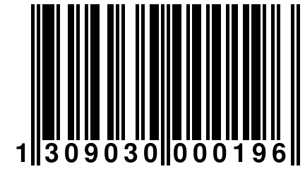 1 309030 000196