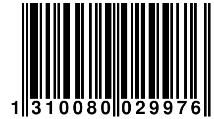 1 310080 029976