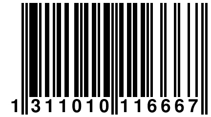 1 311010 116667