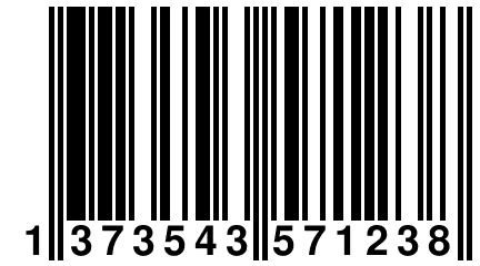 1 373543 571238