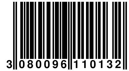 3 080096 110132