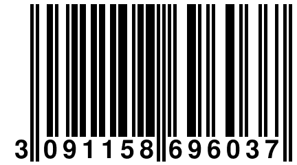 3 091158 696037