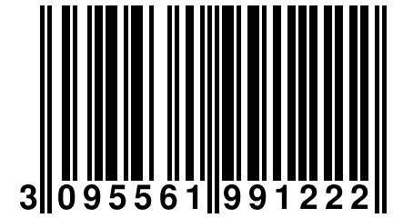 3 095561 991222