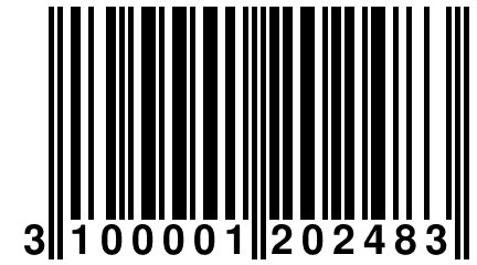 3 100001 202483