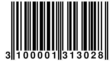 3 100001 313028