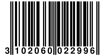 3 102060 022996