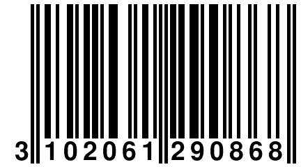 3 102061 290868