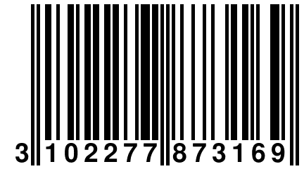 3 102277 873169